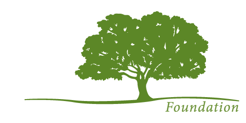 The Lumpkin Foundation
